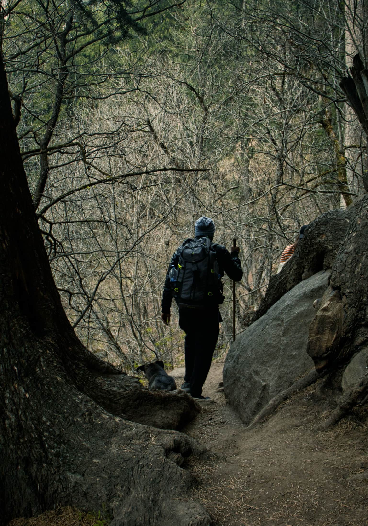 Kasol Trip and Trek to Kheerganga
